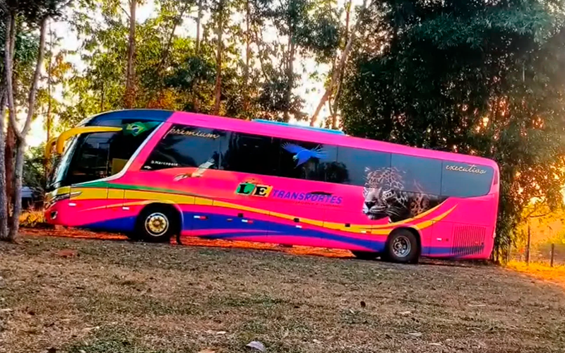 Ônibus Rosa